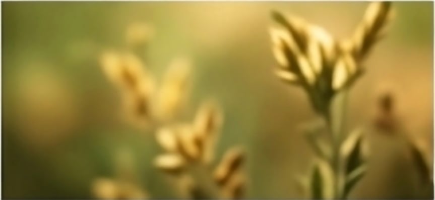 كنوز الصحة الطبيعية